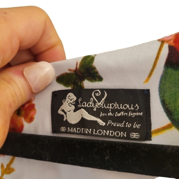 Lady Voluptuous ( Lady V) Vintage Inspired Birds & Butterfly Print Midi Length - Picture 10 of 13